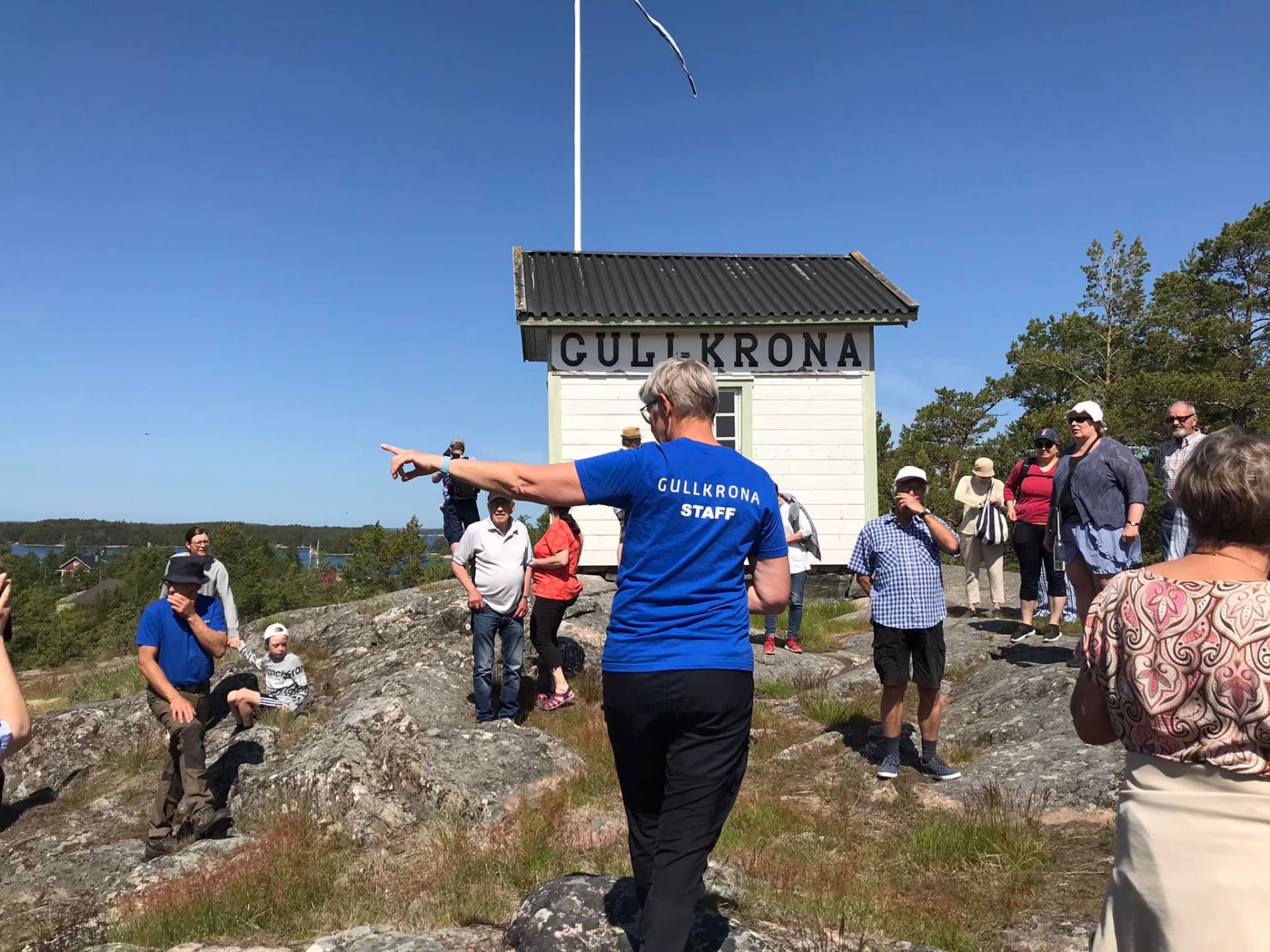 43gullkrona